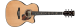 Ibanez PC34CE-NT