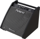 Roland Pm-200 Personal Monitor - 1